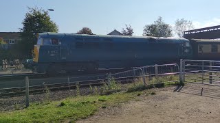 D 1062 Western Courier Racing Into Kidderminster Station [upl. by Harlow]