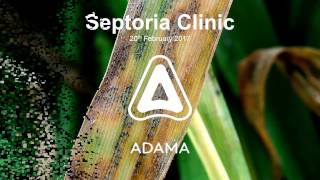 Spring 17 Septoria Clinic [upl. by Byrd132]