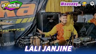 ARSEKA MUSIC • LALI JANJINE VOL1 • CANDRADEWI AUDIO • PUTRAJAYA HD [upl. by Marlena395]