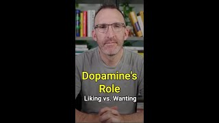 Dopamines Role in Liking vs Wanting [upl. by Lerual]