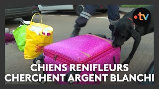 Des chiens renifleurs pour retrouver de largent blanchi aux douanes de SaintAvold [upl. by Aztiraj863]