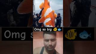 So big fish catching 😱😱😱 fishing giantcreatures ocean fish seafood [upl. by Ecille]