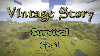 Lets start a new adventure  Vintage Story  Survival  Ep 1 [upl. by Kenrick23]