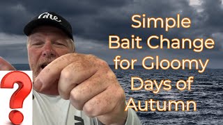 Make this Simple Bait Change when the Weather gets Gloomy [upl. by Ragas]