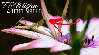 Review TTArtisan 40mm Macro Lens [upl. by Hashimoto]