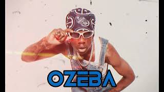 Rema Afrobeats Type Beat 2024 OZEBA Remake [upl. by Florine]