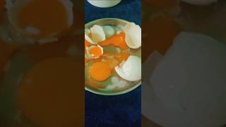 എഗ്ഗ് ബോയ്ലർ നോക്കി വാങ്ങിയില്ലെങ്കിൽegg boiler camparison cooking egg [upl. by Mahoney]