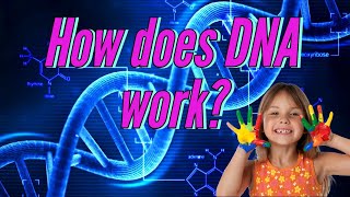 How does DNA work [upl. by Pega]