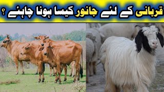 Qurbani ka Janwar Kaisa Hona chahie Qurbani Hindi Urdu [upl. by Rebmac]