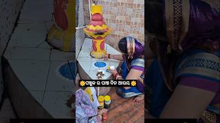 🌸ଶାଶୁଘରେ ମୋର ପ୍ରଥମ ପଞ୍ଚୁକ ପାଳି🌸minivlog odiavlog shortvideo odisha mayurbhanja YouTube [upl. by Ivon369]