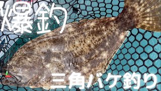 爆釣！北海道ヒラメ釣り情報。ご当地釣り三角バケ釣りはどうやるの？ [upl. by Nnednarb]