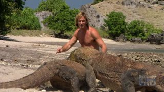 Austin Stevens  Snakemaster  In Search of The Komodo Dragon [upl. by Afihtan]