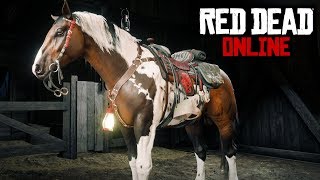 The Best Race Horse In RDO MAX Level Norfolk Roadster Review  Red Dead Online Moonshiners Update [upl. by Ahsiemac126]