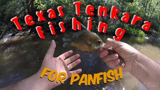 TEXAS TENKARA Fishing for Panfish Tenkara テンカラ釣り [upl. by Roux]