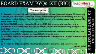 Generally in eukaryotic cells the average length of a transcription unit along a DNA molecule is [upl. by Sanson]