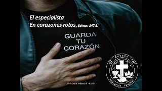 El especialista en corazones rotos [upl. by Molahs394]