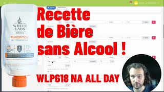 Réalisation du recette dune 🍺 IPA 🚫 Sans Alcool [upl. by Corinne298]