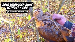 Solo Woodcock Hunt Without A Dog Multiple Up Close Flushes [upl. by Gerkman545]