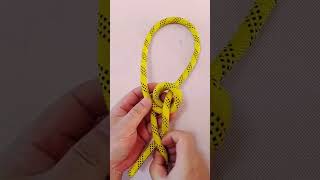 This rope knot very easy shorts knot diy easyknot DoiT03 [upl. by Ahtela]