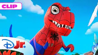 MARVEL SPIDEY Y SU SUPEREQUIPO Dinotelarañas a la orden 🕷️  DisneyJuniorES [upl. by Aizitel]