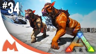 ARK Survival Evolved  CHALICOTHERIUM TAMING amp EXPLORER NOTES PATCH v248 S2E34 [upl. by Ddart]