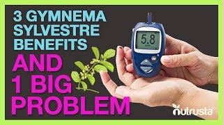 Gymnema Sylvestre Benefits For Diabetes amp1 BIG Problem 223 [upl. by Jelena]