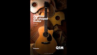 New Guitar DayEnya Q1MGA body shaped [upl. by Bjorn108]