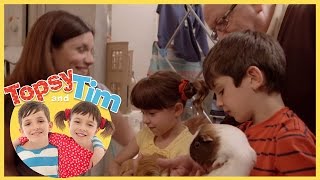 Topsy and Tim Pet Sitters Series 1 Episode 10 [upl. by Kerwin952]