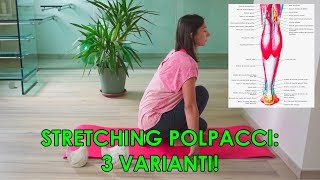 🔴 Stretching Polpacci [upl. by Oiznun]