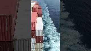 Pacific ocean containership🌊🚢containership msc travel explore merchantnavy views subscribe [upl. by Atteval]