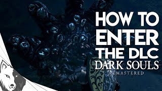 How To Get to The DLC  Dark Souls Remastered Artorias of The Abyss [upl. by Catherin311]