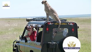 BEST KENYA Safari Tours  Africa Safari Holiday 2020  Award Safaris [upl. by Virgil]