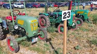 Oldtimertreffen und Schaupflügen Dargun 2024 🚜 AusfahrtRundgangpflügen [upl. by Leahey]