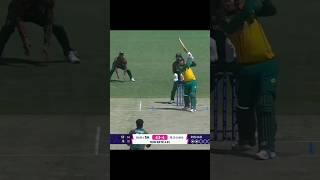 Power hitters best sixes cricket popular trending shorts [upl. by Annam]