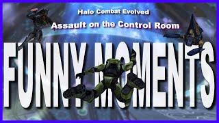 These Grunts are TOO funny  Halo CE ft Zednul [upl. by Enihpets827]