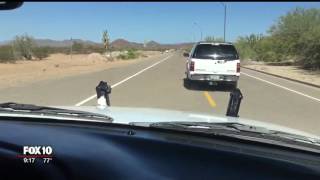 Arizona man invents device to stop highspeed pursuit suspects [upl. by Mcleroy]