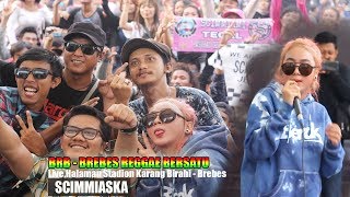 SCIMMIASKA  BRB BREBES REGGAE BERSATU SongLeaving on the jet plan [upl. by Jem]