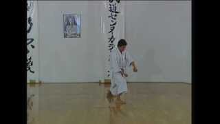 Nijushiho  Efthimios Karamitsos  Karate  Kata  Shotokan [upl. by Gussie796]