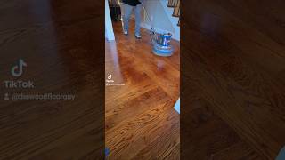 Color Correction  Stain touchup on hardwood floors in Lucas Tx [upl. by Odareg932]