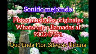 Que linda flor Silverio Urbina Pistas musicales [upl. by Kassi515]