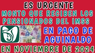 Excelente noticia Esta es la cantidad que recibirán los pensionados del IMSS como aguinaldo en [upl. by Amelina]