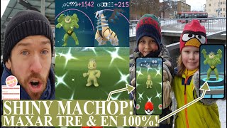 Pokemon GO på Svenska  SHINY MACHOP  EN 100  MAXAR TRE POKÉMON  Johans Pokemon GO [upl. by Ariela]