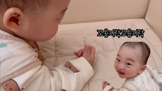 D163 이 손이 내 손이라구😮 꼼지락거리는 호빵이😂 [upl. by Wilda828]