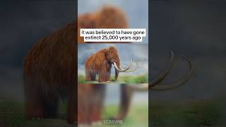 Extinct Animals Scientists Close To Reviving 😱 youtubeshorts [upl. by Aland926]