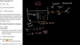 Water potential [upl. by Kirrad]