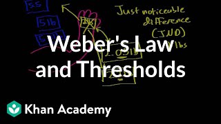 Webers law and thresholds  Processing the Environment  MCAT  Khan Academy [upl. by Fosdick]