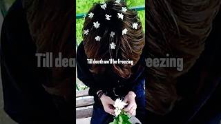 Snowman Sia😍 aesthetic lyrics whatsapp status slowed speed up shorts sia snowmanMelodyj8i [upl. by Scotney]