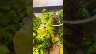 AirFryer Broccoli NO oil recipeshorts vegancooking [upl. by Anigriv248]