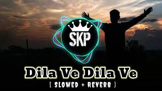 Dila Ve Dila Ve SlowedReverb song [upl. by Readus296]