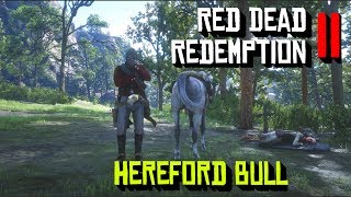 Red Dead Redemption 2 Hereford Bull Location [upl. by Cointon]